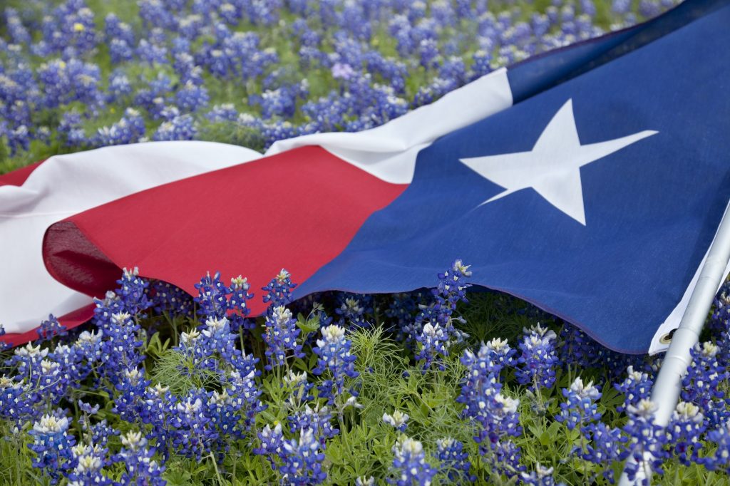 Texas Flag in Field of Bluebonnets